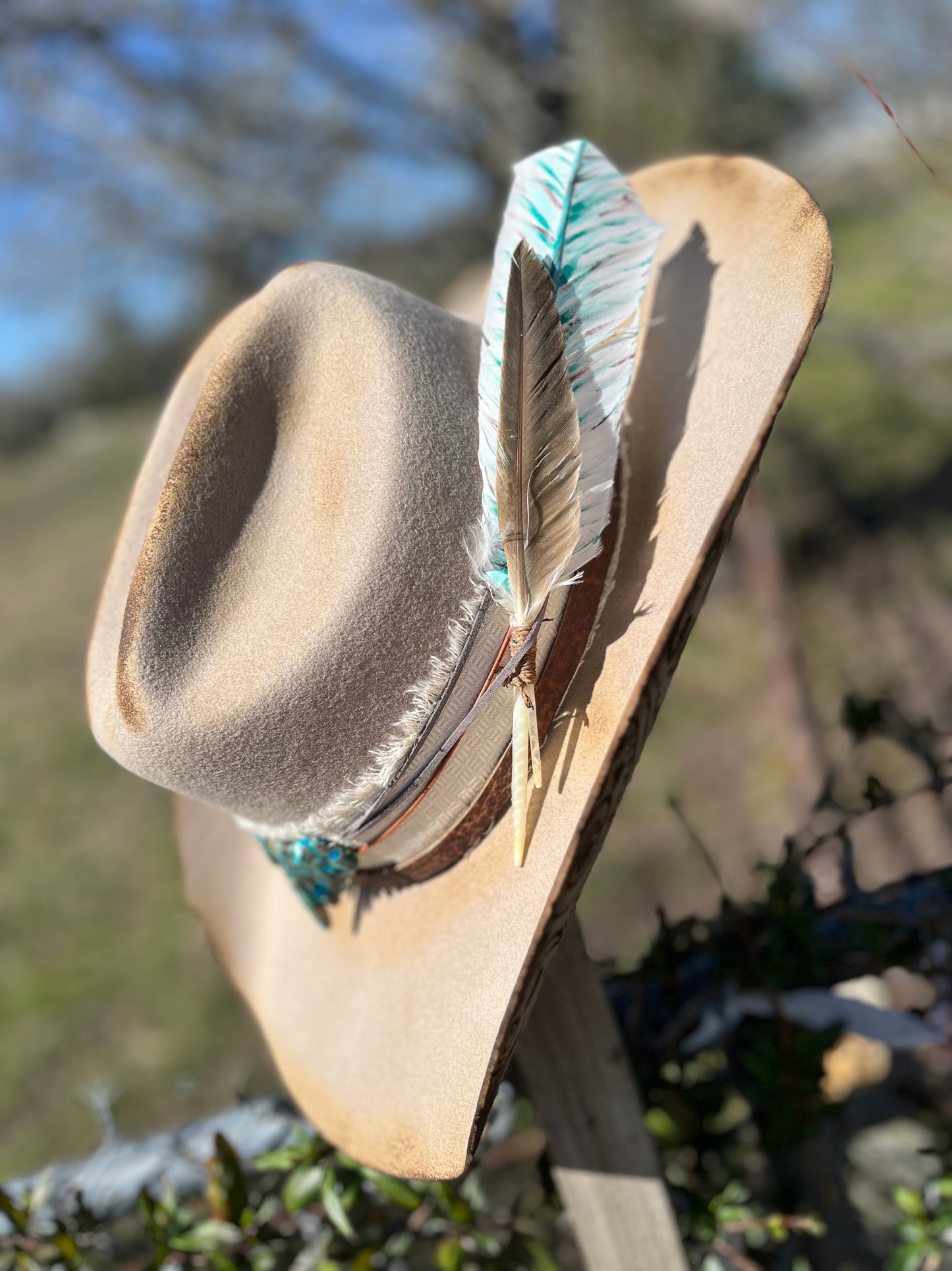 Paisley Cowgirl