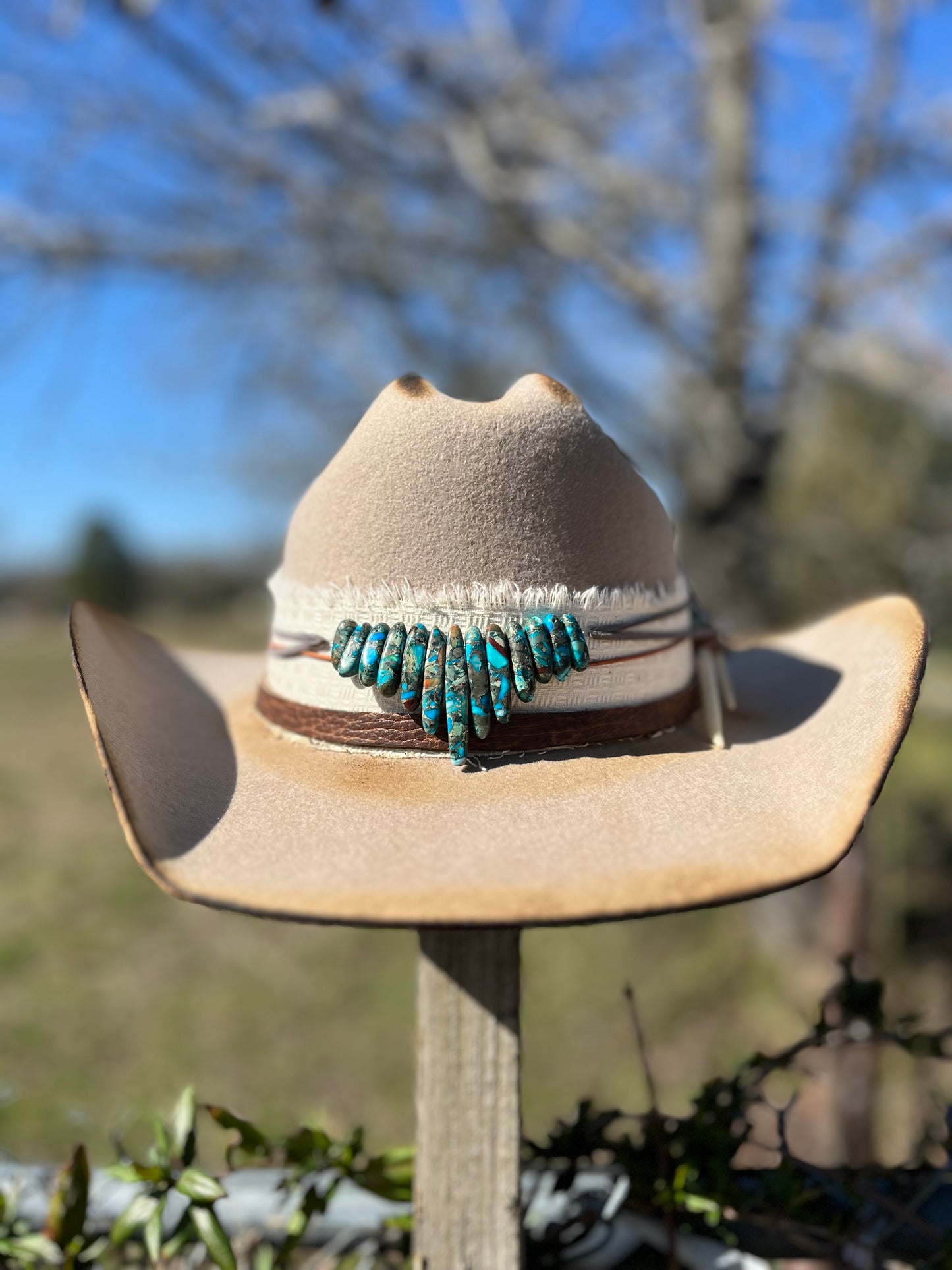 Paisley Cowgirl