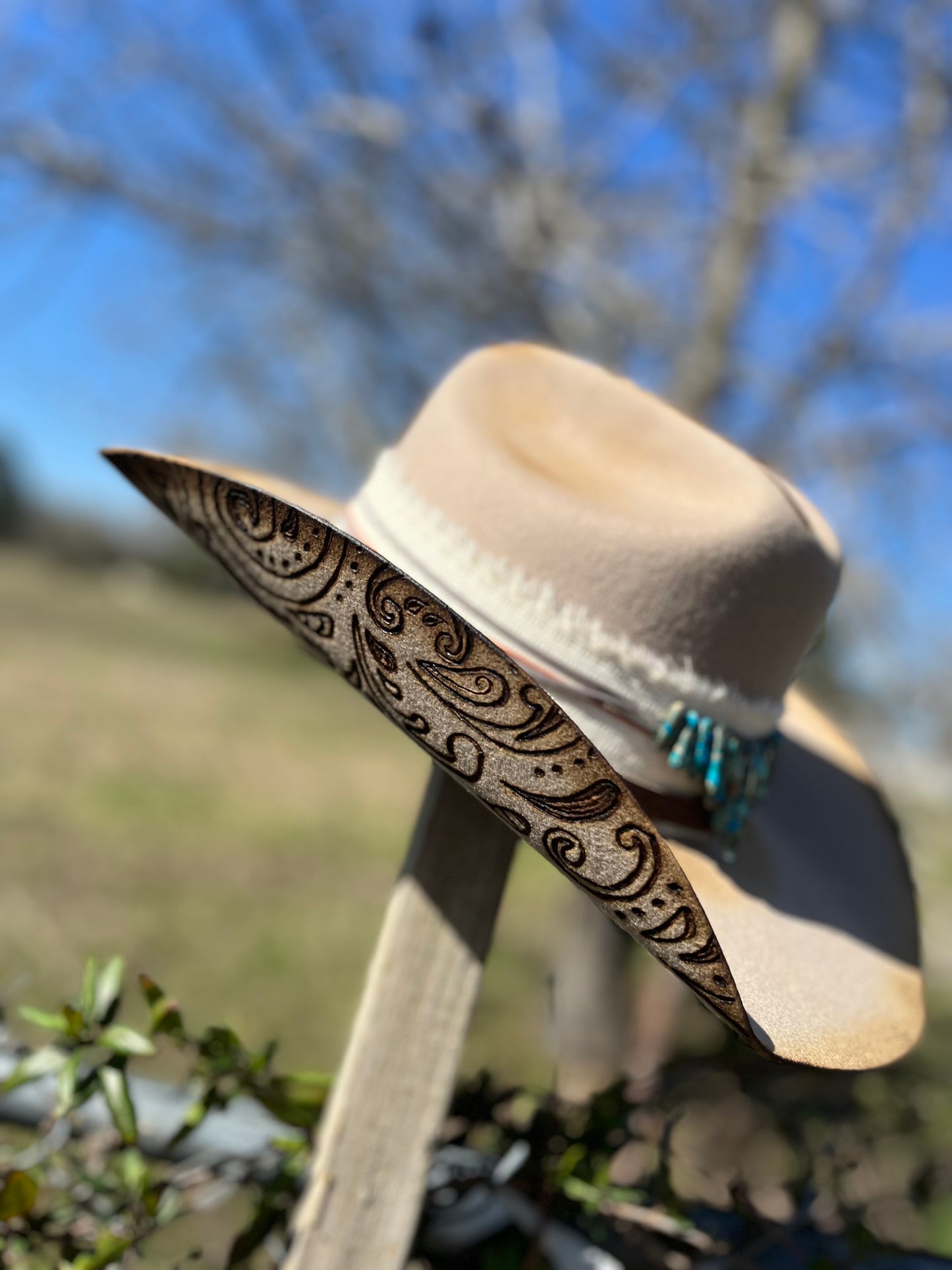 Paisley Cowgirl