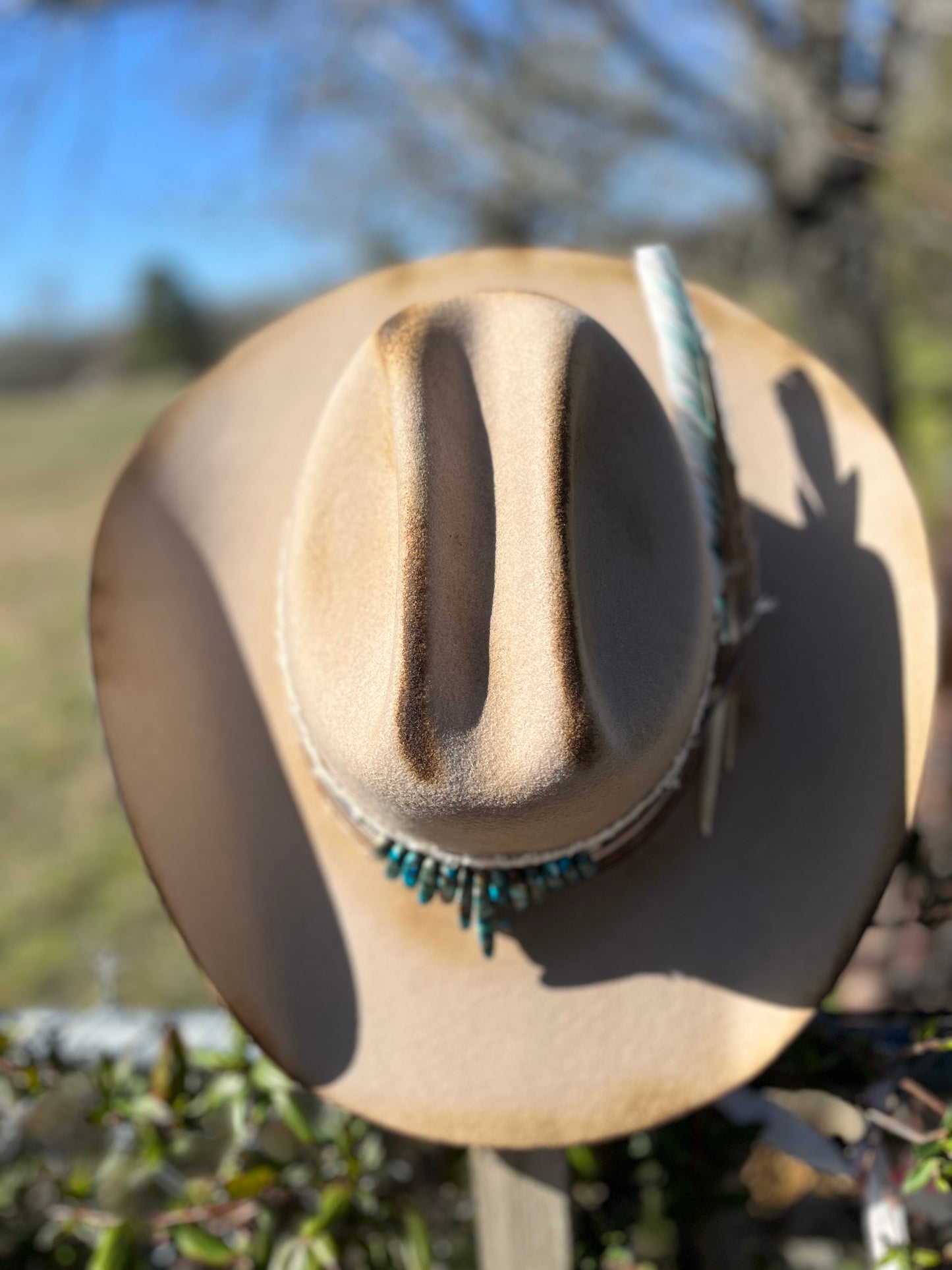 Paisley Cowgirl